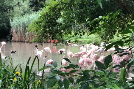 Stadtnaehe Und Doch Mitten In Der Natur ซาลซ์บูร์ก ภายนอก รูปภาพ